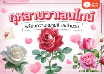 Shopee Blog ดอกกุหลาบวาเลนไทน์