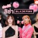 Shopee Blog ประวัติลิซ่า BLACKPINK