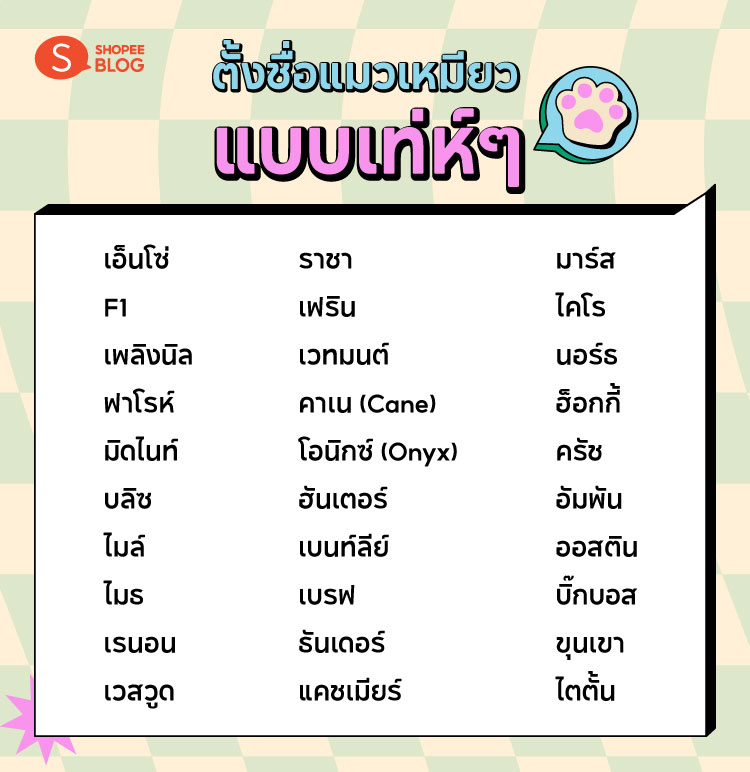 Shopee blog-ตั้งชื่อแมว-ตั้งชื่อแมวเท่ๆ