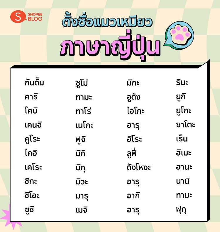 Shopee blog-ไอเดียตั้งชื่อแมว-ตั้งชื่อแมวน่ารัก ภาษาญี่ปุ่น