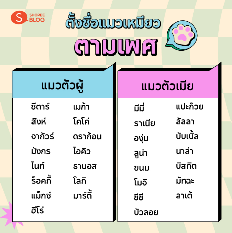 Shopee blog-ไอเดีย ตั้งชื่อแมวน่ารัก -ชื่อแมวเหมียว ตัวผู้-ชื่อแมวน่ารักๆ ตัวเมีย