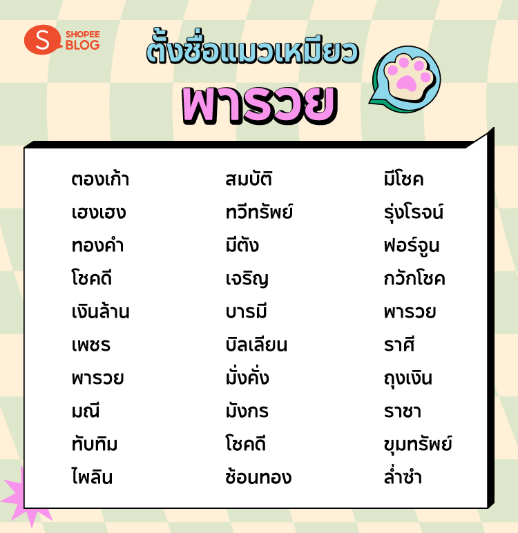 Shopee blog-ไอเดีย ตั้งชื่อแมว -มงคล ตั้งชื่อแมว พารวย-ตั้งชื่อแมว เสริม มงคล