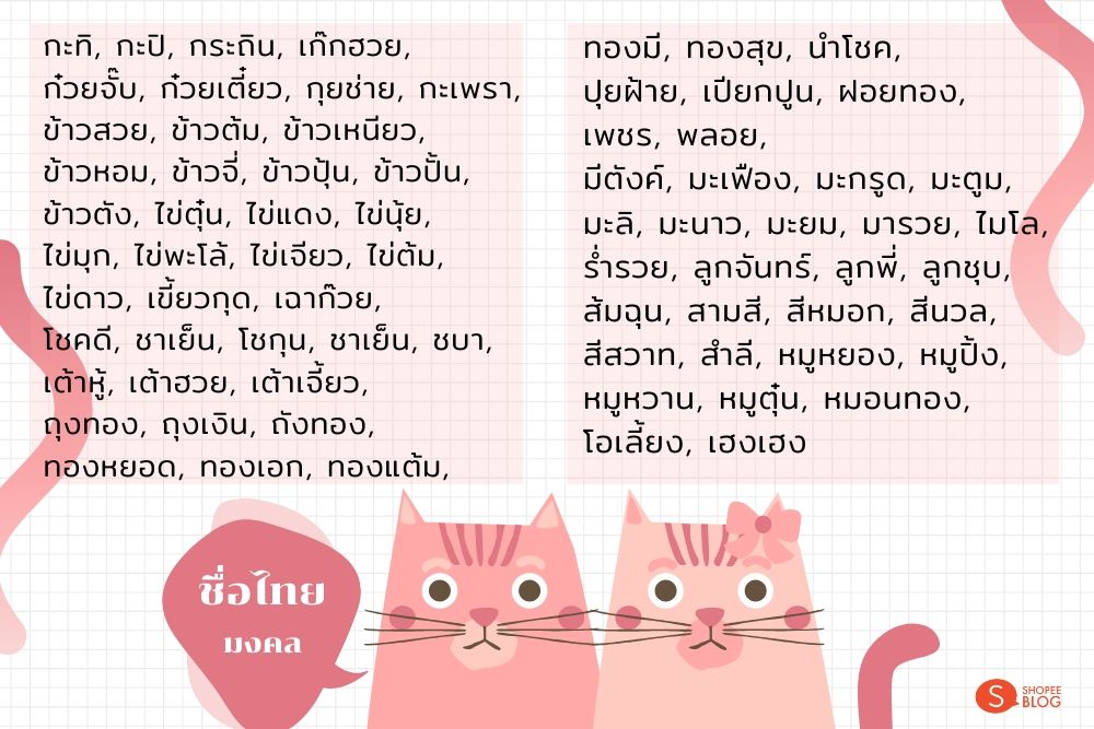 ตั้งชื่อแมว_สไตล์ไทย