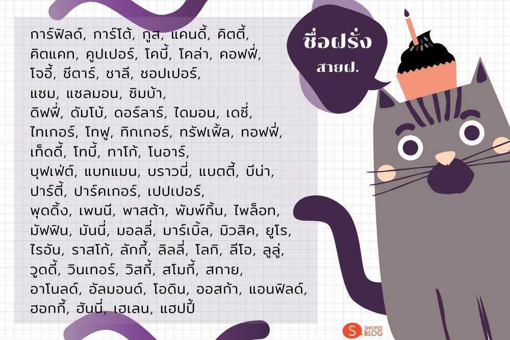 ตั้งชื่อแมวสไตล์ฝรั่ง