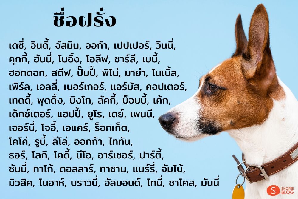 ตั้งชื่อหมาภาษาอังกฤษ