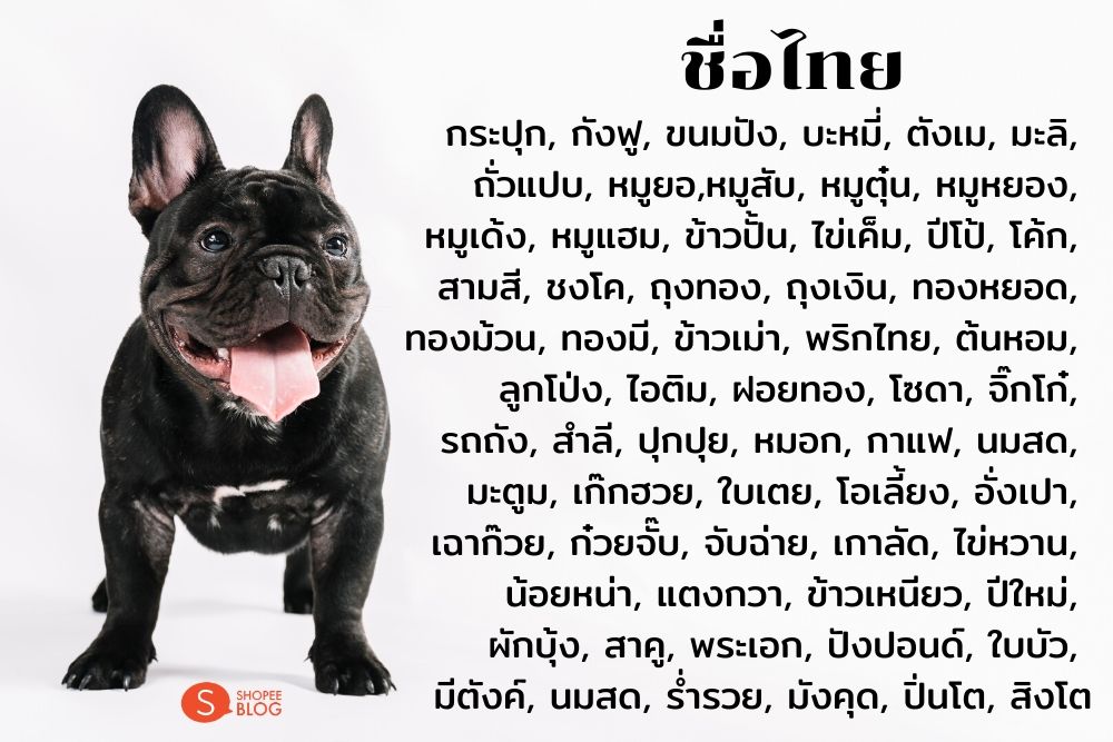 ตั้งชื่อหมาภาษาไทย
