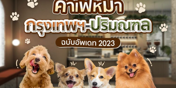 คาเฟ่หมา กรุงเทพ อัปเดท