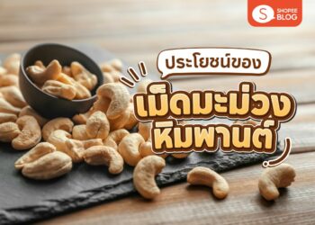 Shopee Blog เม็ดมะม่วงหิมพานต์ ประโยชน์