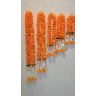 Shopee Blog Product Slider Marigold Flowers