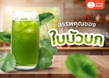 Shopee Blog ใบบัวบก สรรพคุณ