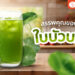 Shopee Blog ใบบัวบก สรรพคุณ