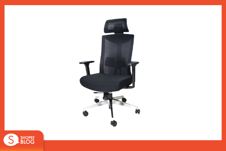 Ergotrend เก้าอี้เพื่อสุขภาพ รุ่น Dual-X