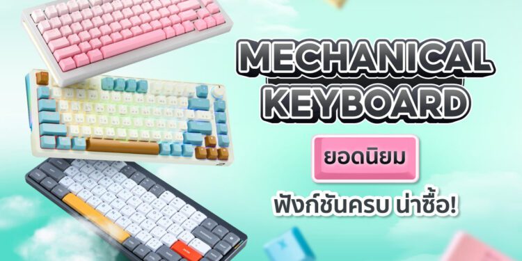 Shopee blog คีย์บอร์ด Mechanical