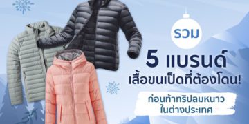 เสื้อขนเป็ด ยี่ห้อไหนดี