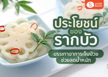 Shopee Blog Cover Lotus Root Benefits