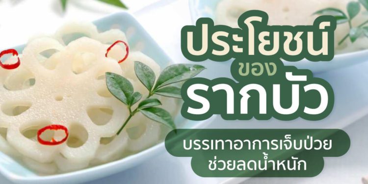 Shopee Blog Cover Lotus Root Benefits