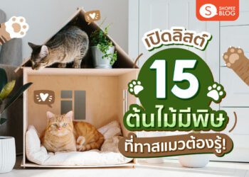 Shopee blog ต้นไม้มีพิษ