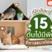 Shopee blog ต้นไม้มีพิษ