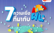 ตาเขม่น ตากระตุกข้างขวา-ซ้าย เกิดจากอะไร บอกเหตุหรือบอกโรค ตาเขม่น ตากระตุกข้างขวา-ซ้าย เกิดจากอะไร บอกเหตุหรือบอกโรค