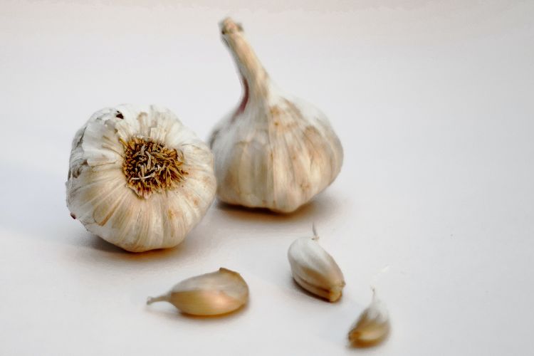ดูแลสุขภาพตนเอง Garlic กระเทียม