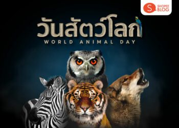 Shopee blog World Animal Day วันสัตว์โลก