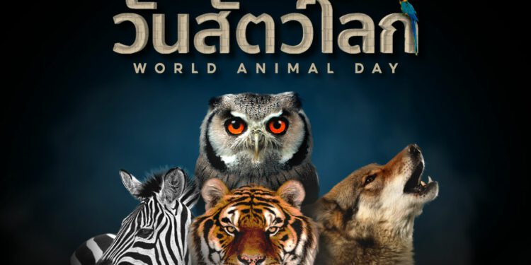 Shopee blog World Animal Day วันสัตว์โลก