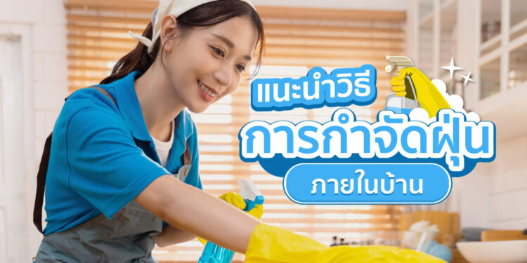 Shopee Blog ฝุ่นในบ้าน วิธีกำจัดฝุ่นในบ้าน