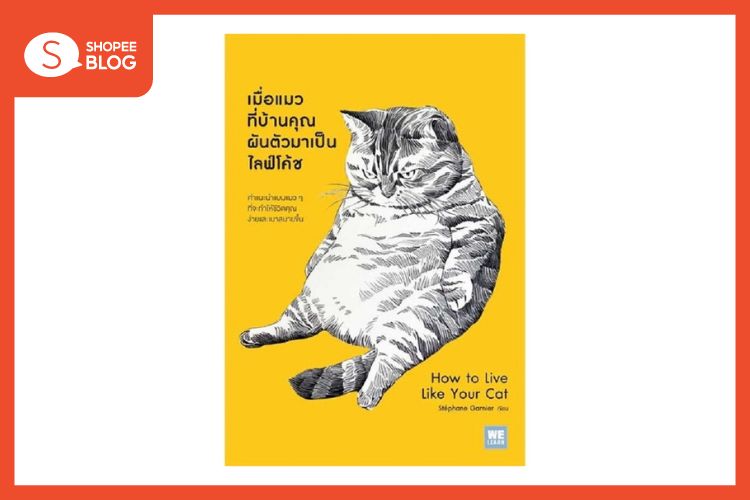 แนะนำหนังสือพัฒนาตนเอง เมื่อแมวที่บ้านคุณผันตัวมาเป็นไลฟ์โค้ช