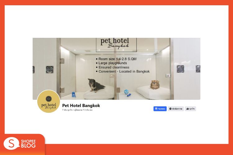 Shopee Blog โรงแรมสัตว์เลี้ยง Pet Hotel Bangkok