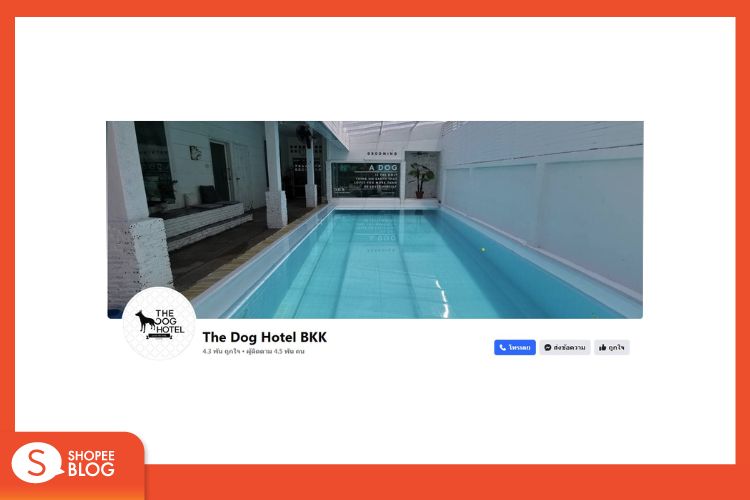 Shopee Blog โรงแรมสัตว์เลี้ยง The Dog Hotel BKK