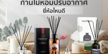 Shopee Blog ก้านไม้หอมปรับอากาศ ยี่ห้อไหนดี