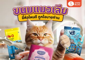 Shopee Blog-ขนมแมวเลียยี่ห้อไหนดี