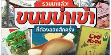 Shopee Blog-แนะนำ ขนมนำเข้า