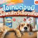 Shopee Blog-ของใช้ก่อนพาสัตว์เลี้ยงเที่ยว