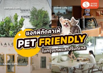 Shopee Blog-คาเฟ่ pet friendly-ร้าน CRAFT หลังสวน-ร้าน Take a Breath café & eatery-Gump's cross-Horme Cafe-Brunch Paradiso-Rawvaela cafe-Laloli Cafe-The Wood Land-Found Cafe-Jungle de woof