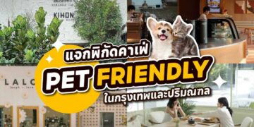 Shopee Blog-คาเฟ่ pet friendly-ร้าน CRAFT หลังสวน-ร้าน Take a Breath café & eatery-Gump's cross-Horme Cafe-Brunch Paradiso-Rawvaela cafe-Laloli Cafe-The Wood Land-Found Cafe-Jungle de woof