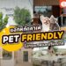 Shopee Blog-คาเฟ่ pet friendly-ร้าน CRAFT หลังสวน-ร้าน Take a Breath café & eatery-Gump's cross-Horme Cafe-Brunch Paradiso-Rawvaela cafe-Laloli Cafe-The Wood Land-Found Cafe-Jungle de woof